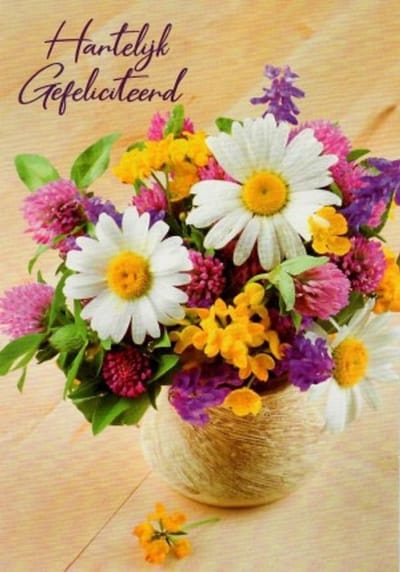 Van harte gefeliciteerd met je verjaardag! Een mooie kaart met een afbeelding van meerdere bloemen in een vaas. Leuk om zo te geven of om bij een cadeau te voegen. Een dubbele wenskaart inclusief envelop en in folie verpakt.