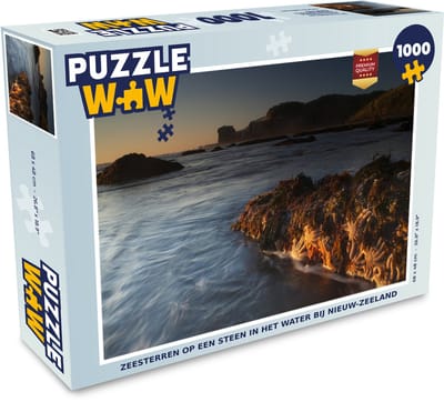 Puzzel Zeesterren op een steen in het water bij Nieuw-Zeeland - Legpuzzel - Puzzel 1000 stukjes volwassenen