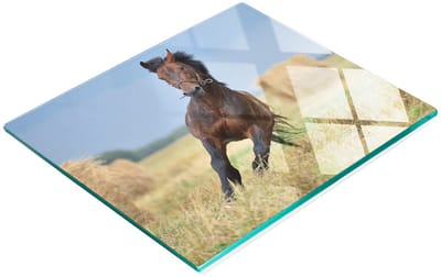 Multifunctionele decoratieve glazen snijplank voor de keuken met afbeelding van een galopperend paard, 60x52 cm