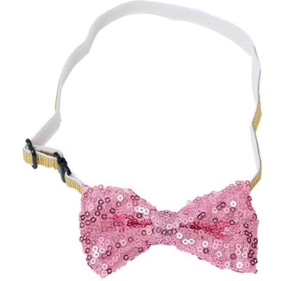 Verjaardagsset voor huisdieren Kwijldoek Driehoekige doek Hoed Benodigdheden voor huisdierenfeestdecoratie Modellering Buitencreativiteit bow tie