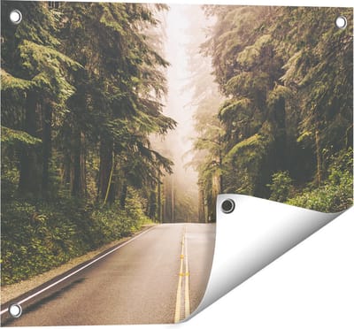 Gards Tuinposter Highway in Californië Omring met Bos - 50x40 cm - Tuindoek - Tuindecoratie - Wanddecoratie buiten - Tuinschilderij