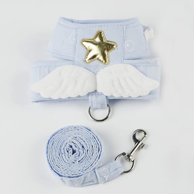 Oneay 1,5 m Angel Wing kattenriem (M), vestvormige riem voor honden en kittens, huisdieraccessoires