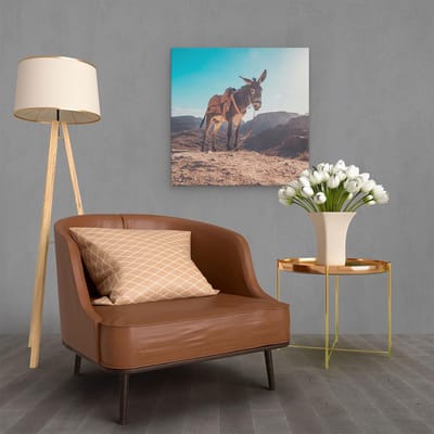 Artaza Canvas Schilderij Ezel - 60x60 cm - Wanddecoratie Dieren - Muurdecoratie Woestijn - Schilderijen Natuur