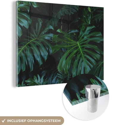 MuchoWow® Glasschilderij 120x90 cm - Schilderij acrylglas - Monstera - Bladeren - Tropisch - Jungle - Foto op glas - Schilderijen
