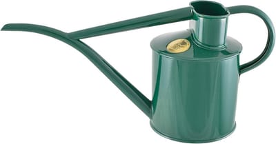 Metalen gieter voor binnenplanten met fijne tuit