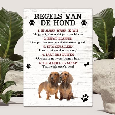 Spreuken - Tekkel - Regels Van De Hond - Spreuken Bordjes - Spreukenbord - Tekstborden - Cadeau - Hondenras