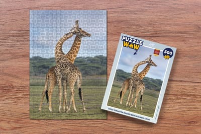 Puzzel Twee giraffen onder een wolkenlucht - Legpuzzel - Puzzel 500 stukjes