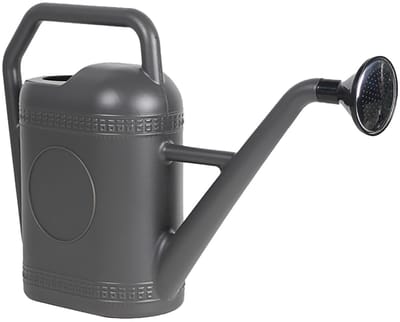 Dailygoods- Plantengieter 5L Grote Lange Uitloop - Tuinemmer met Sproeikop - Gieter voor Binnen - Gieter voor Buiten - Stevige Constructie - Waterbesparend