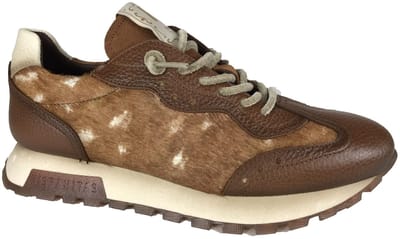 Hispanitas Leren sneakers Oregon