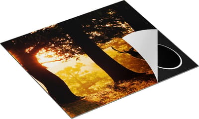 Chefcare Inductie Beschermer Hert in de Bossen bij Zonsopkomst - 60x50 cm - Afdekplaat Inductie - Kookplaat Beschermer - Inductie Mat
