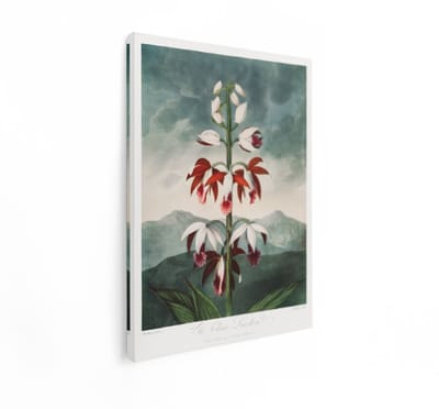 Artaza Canvas Schilderij Vintage Bloemen - 30x40 cm - Wanddecoratie Botanisch - Muurdecoratie Orchidee - Schilderijen Op Canvas
