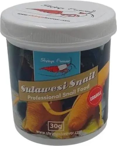Shrimps Forever Sulawesi Snail Type: Poeder