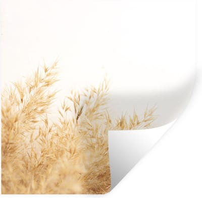 Muurstickers - Sticker Folie - Tarwe - Natuur - Zon - 100x100 cm - Plakfolie - Muurstickers Kinderkamer - Zelfklevend Behang XXL - Zelfklevend behangpapier - Stickerfolie
