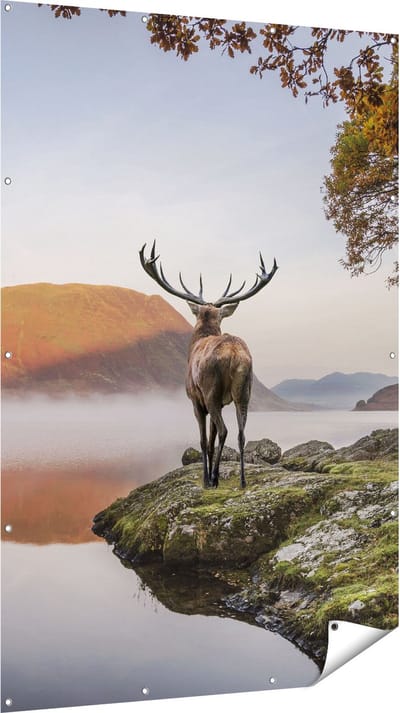 Gards Tuinposter Hert bij een Meer - 120x180 cm - Tuindoek - Tuindecoratie - Wanddecoratie buiten - Tuinschilderij