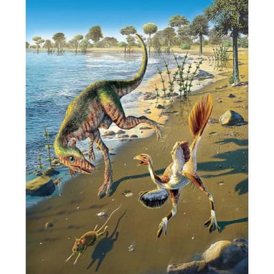 Diamantschilderij kleine dinosaurus 5d volledige boor diamantschilderijen 20X30CM beige