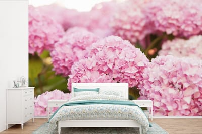 Behang - Fotobehang Struik - Bloemen - Roze - Hortensia - Breedte 390 cm x hoogte 260 cm