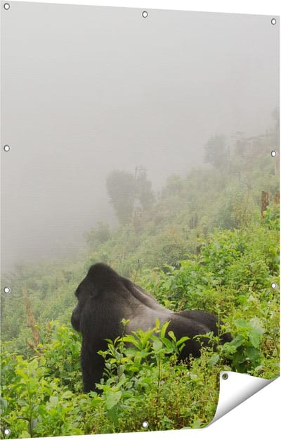 Gards Tuinposter Gorilla in het Woud tijdens de Mist - 90x120 cm - Tuindoek - Tuindecoratie - Wanddecoratie buiten - Tuinschilderij