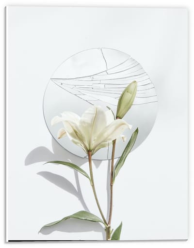 KuijsFotoprint - Schilderij - Schildering Bloem Witte Achtergrond Met Rondje - Wit En Groen - 40 X 30 Cm