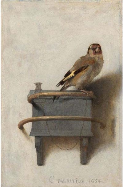 Diamond painting - Het Puttertje - Carel Fabritius - Oude meesters - Geproduceerd in Nederland - 50 x 70 cm - canvas materiaal - vierkante steentjes - Binnen 2-3 werkdagen in huis