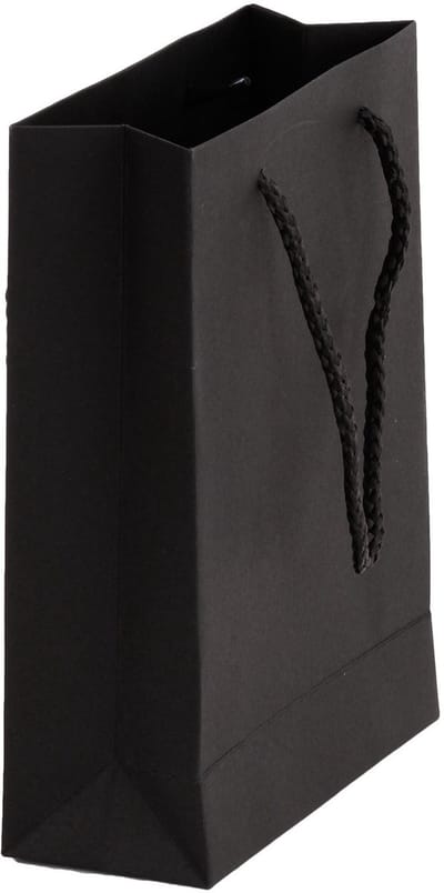 Dailygoods- Papieren Zakken Extra Verdikt - Cadeauzakjes - Geschenktas - Papieren Draagtassen - Cadeautasjes - Voor Wijn/Champagne - 10 Stuks - Cadeautas