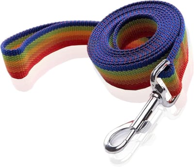 Nylon Hondenriem - Wandelriem Hond - Training en Wandelen - Sterk en Duurzaam - 25 cm x 18 m - Regenboog