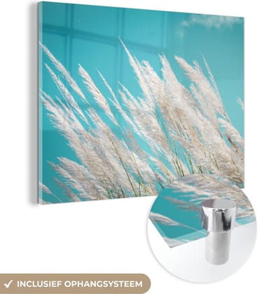 MuchoWow® Glasschilderij 40x30 cm - Schilderij acrylglas - Pampasgras - Plant - Plant - Foto op glas - Schilderijen