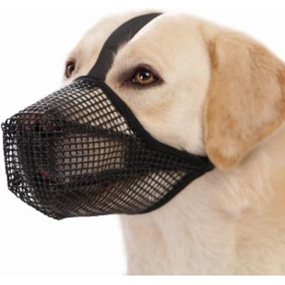 1 pc Couvre-bouche pour chien Anti-léchage Anti-morsure Respirant Boire de l'eau Réglable Muselière pour chien Dédié Couvre-bouche pour animal de compagnie L noir