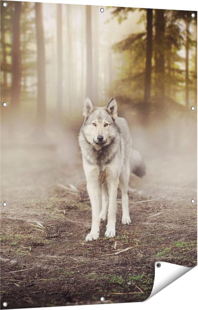 Gards Tuinposter Grijze Wolf in het Bos - 90x120 cm - Tuindoek - Tuindecoratie - Wanddecoratie buiten - Tuinschilderij