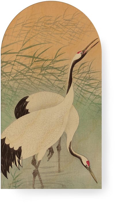 Art for the Home Canvas Boogvormig Kraanvogels in de Ochtend 100x54cm