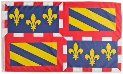 Grote Bourgondische Vlag 150x90 cm - Kleurrijk Gebiedskenmerk