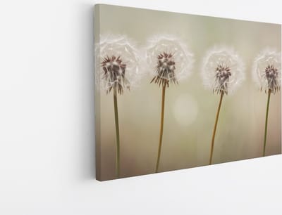 Saammp Canvas Schilderij - 4 Paardebloemen - Abstract - 30x20 - Foto op canvas - Wanddecoratie - Muurdecoratie Woonkamer - Kantoor Decoratie