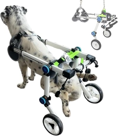 Huisdieren Rolstoel - Mobiliteitskar Dieren - Hulp bij Lopen - Verstelbaar Frame - Maat XS - Zilverkleurig