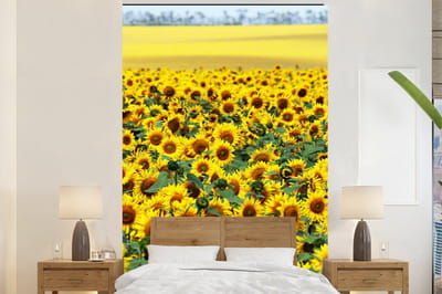 Behang - Fotobehang Zonnebloem - Bloemen - Natuur - Breedte 160 cm x hoogte 240 cm