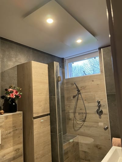 Galaxy Heat & Light infraroodpaneel plafond verwarming met verlichting - verwarmingsvermogen 500 Watt - 50x120cm, directe verlichting 2 ledspots - bedraad geschakeld met inbouwdimmer wandschakelaar, thermostaat 520 (programmeerbaar)