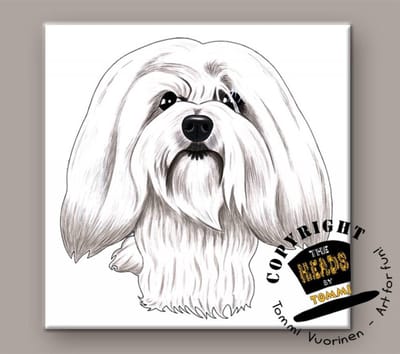 Tegel Hond Coton Tulear