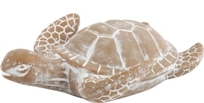 Zeeschildpad Nabil L grey wash