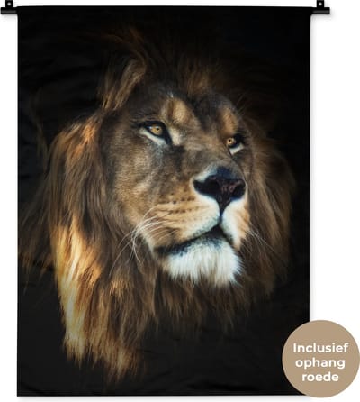 Wandkleed Dieren op een zwarte achtergrond - Leeuw op zwarte achtergrond Wandkleed katoen 60x80 cm - Wandtapijt met foto