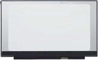 LCD Scherm geschikt voor Acer Nitro 17 AN17-41-R2VK (165Hz)