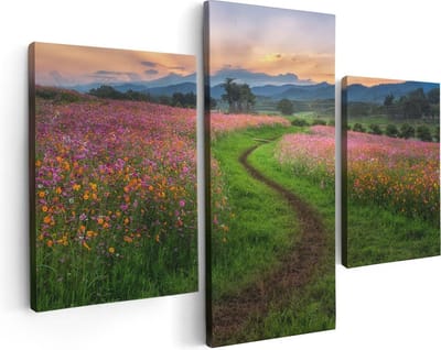 Artaza Canvas Schilderij Drieluik Kosmos Bloemenveld Met Een Pad - Bloemen - 90x60 cm - Wanddecoratie Woonkamer - Schilderijen - Muurdecoratie