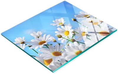 Keukenplank van gehard glas met decoratieve madeliefjes, 60x52 cm