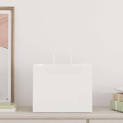 vidaXL Papieren zakken 250 st met hengsels 32x22x24 cm wit