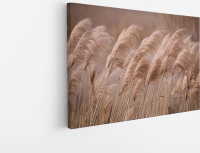 Saammp Canvas Schilderij - Pampas pluimen in de natuur - Bloemen - 30x20 - Foto op canvas - Wanddecoratie - Muurdecoratie Woonkamer - Kantoor Decoratie