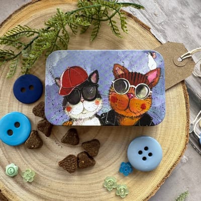 Alex Clark Rectangle Tin Cool Cats ~ Langwerpig opbergblikje katten
