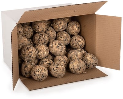 CJ Wildlife 50st Vetbollen voor Vogels - Aanbevolen door Vogelbescherming Nederland - Mezenbollen zonder Net - 80 gram per bol - Vogelvoer Buitenvogels - Energierijk Tuinvogelvoer