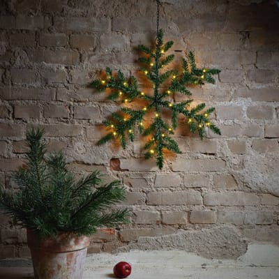Star Trading LED dennentakken 'Snowflake' als sneeuwvlok, batterijen + timer, 42 warmwitte LED's, buiten, groen, Ø 63cm