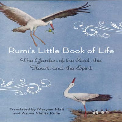 Rumi's Kleine Boek van het Leven door Rumi Paperback Boek 9781571746894