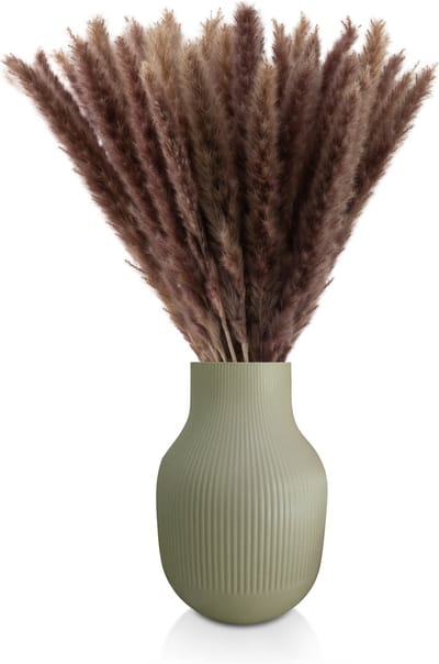 Blumtal Pampas Pluimen - Droogbloemen - Boeket - Set Gedroogde Bloemen - 58 / 60 cm - Naturel - 50 Stuks