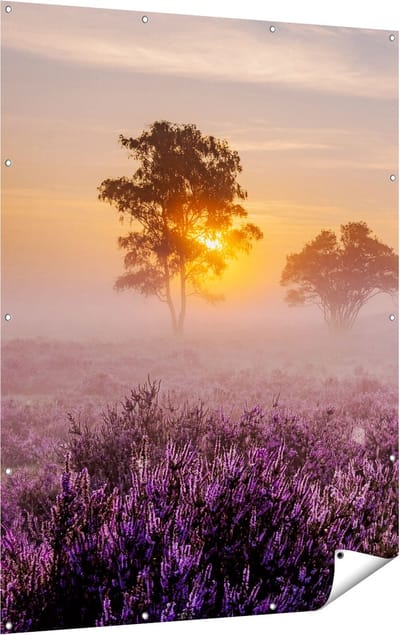 Gards Tuinposter Weide in de Veluwe bij Zonsondergang - 120x160 cm - Tuindoek - Tuindecoratie - Wanddecoratie buiten - Tuinschilderij