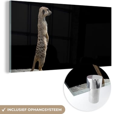 MuchoWow® Glasschilderij 40x20 cm - Schilderij acrylglas - Stokstaartje - Wilde dieren - Zwart - Foto op glas - Schilderijen
