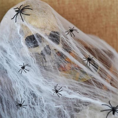 Solacis Halloween Decoratie - Spinnenweb - Halloween versiering - Decoratie buiten - Horror - Eng - Must have voor halloween!